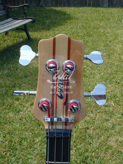 W2657.headstock-fretted headstock.jpg